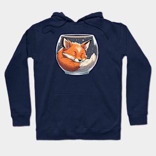 cute sleeping fox it the glass Hoodie